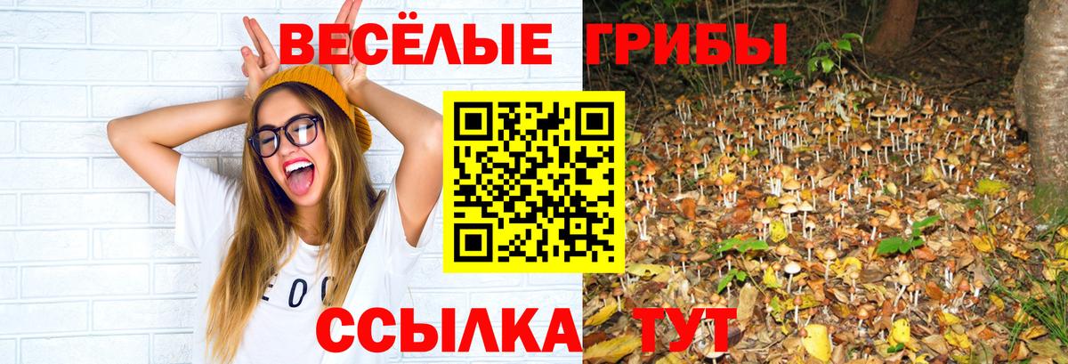 Тулун  Галлюциногенные грибы Magic Shrooms  Псилоцибиновые грибы мицелий  Вход с VPN 